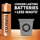 Duracell Alkaline Battery AA (Pack Of 10)