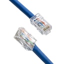 Enter RJ45 Connector Module Plugs