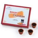 Kesar Chandan Premium Dhoop Cups (Pack Of 12)