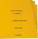 Pastel Paper Golden Yellow Colour A3 Size 160 Gsm (Pack Of 20)