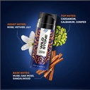 Wild Stone Hydra Energy Deodorant  Body Spray 150ml