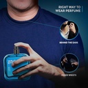 Wild Stone Premium Long Lasting Eau De Perfume 100ml (Hydra Energy)