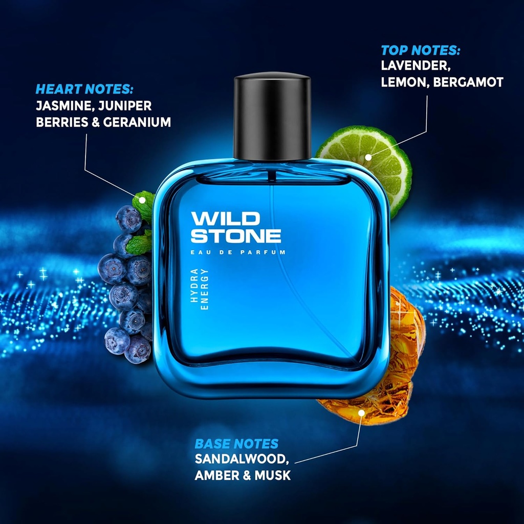 Wild Stone Premium Long Lasting Eau De Perfume 100ml (Hydra Energy)