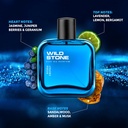 Wild Stone Premium Long Lasting Eau De Perfume 100ml (Hydra Energy)