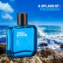 Wild Stone Premium Long Lasting Eau De Perfume 100ml (Hydra Energy)