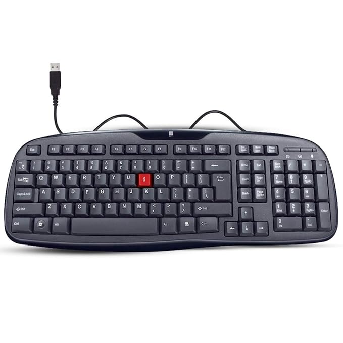 iBall Winner V2.0 Wired USB KeyBoard