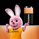 Duracell 9 Volts Alkaline Battery (Pack Of 2)