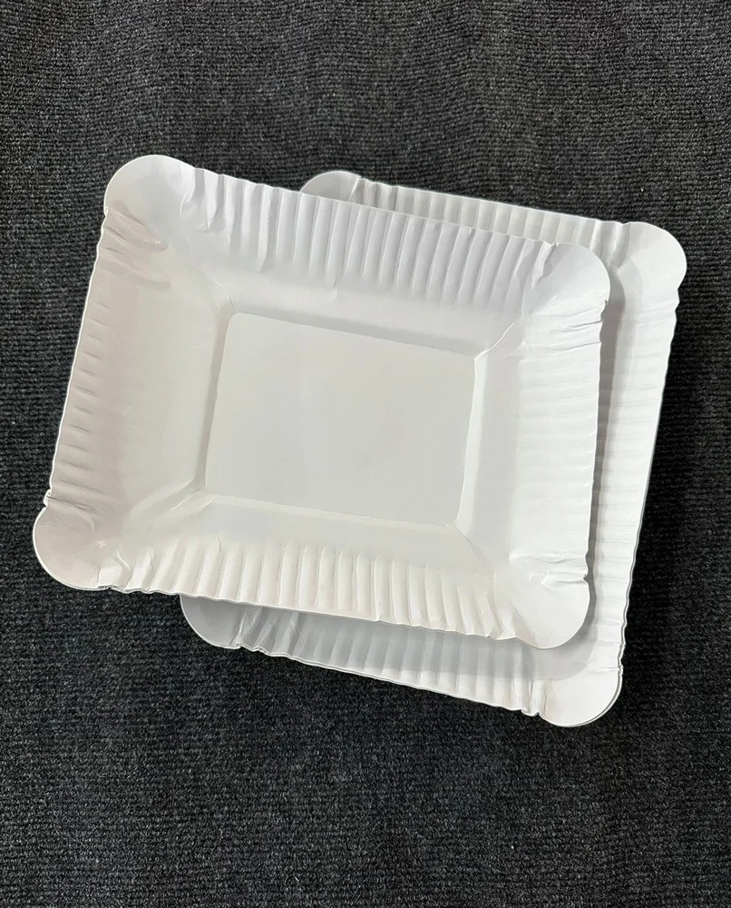 Paper Plates 7x7 Inch Square FBB  (Pack Of 25)