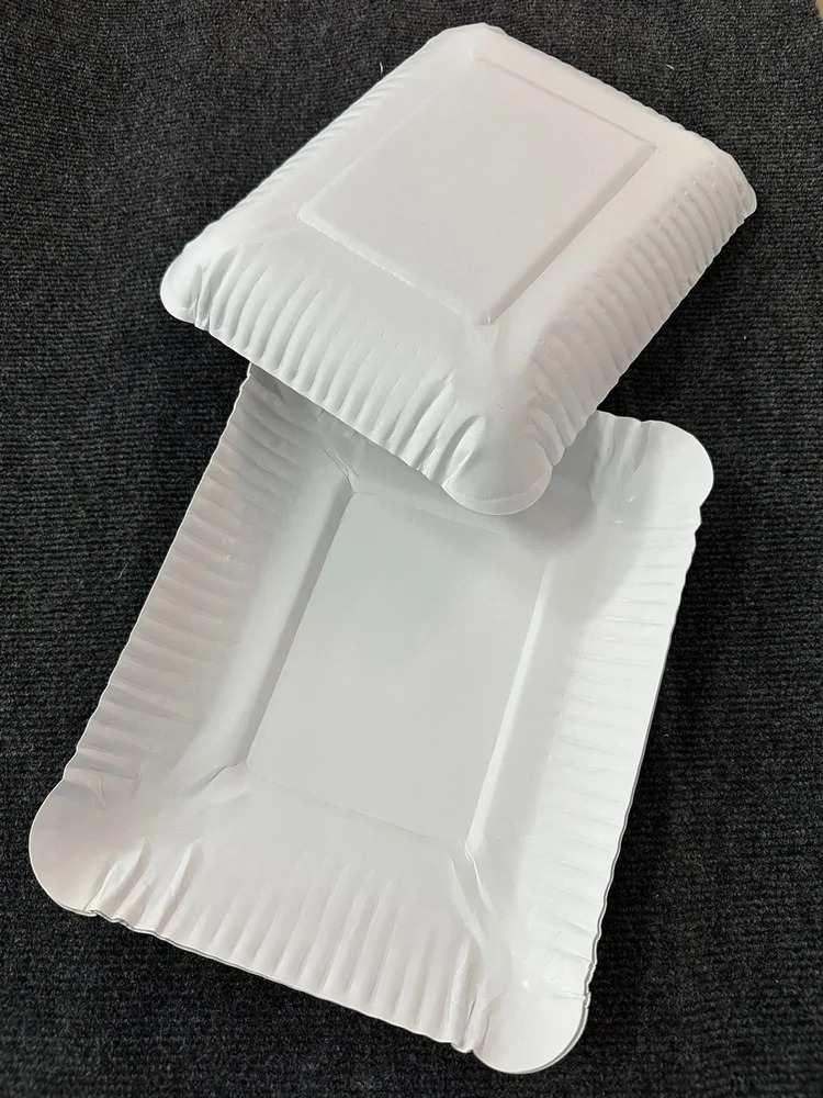 Paper Plates 7x7 Inch Square FBB  (Pack Of 25)