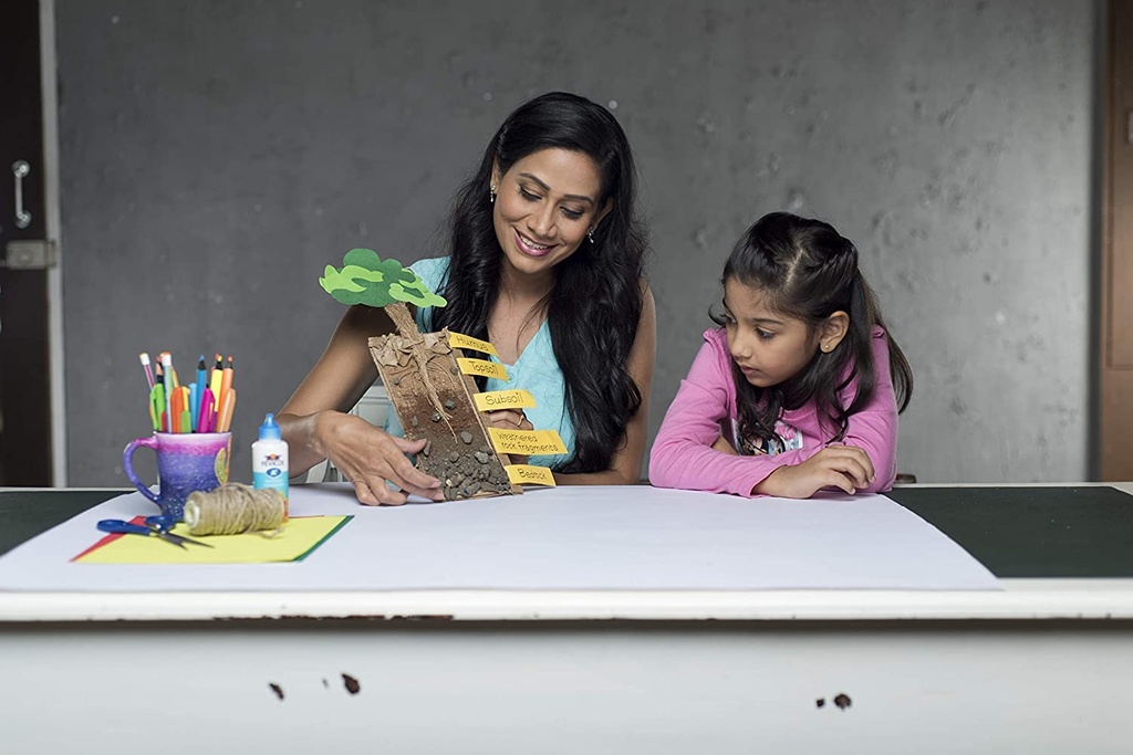 Pidilite Fevicol 500 gm