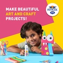 Pidilite Fevicol 500 gm