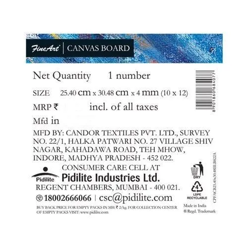 Fevicryl Fine Art Canvas Board 10x12 for Painting