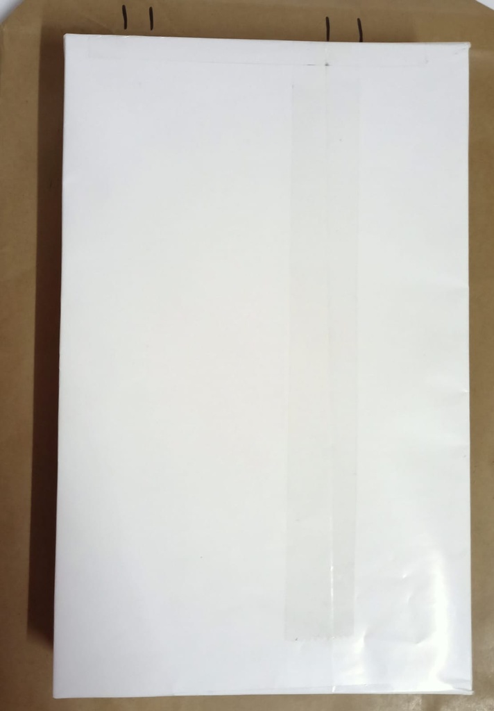 White Plain Paper FS 100 Gsm-Pack Of 500