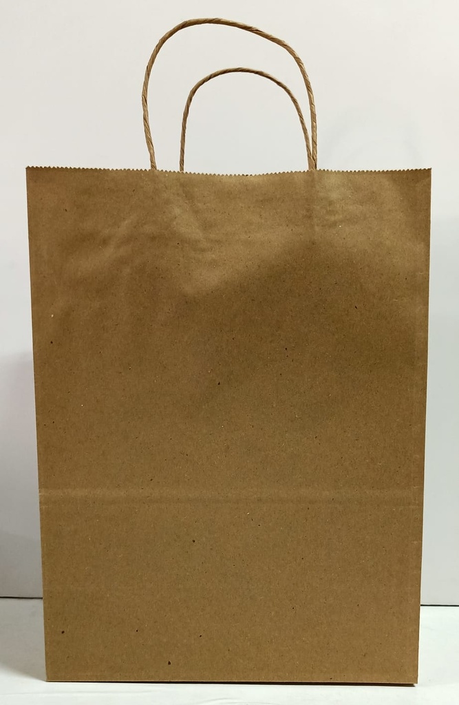 Paper Bag 10X13X5 120 Gsm Paper-Pack of 25