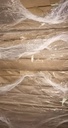 WestCoast Ledger 17x27 11.9 Kg 80 Gsm (B4)