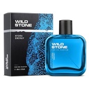 Wild Stone Premium Long Lasting Eau De Perfume 100ml (Hydra Energy)