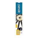 Apsara Gold Pencils-Pack Of 10 (B400)