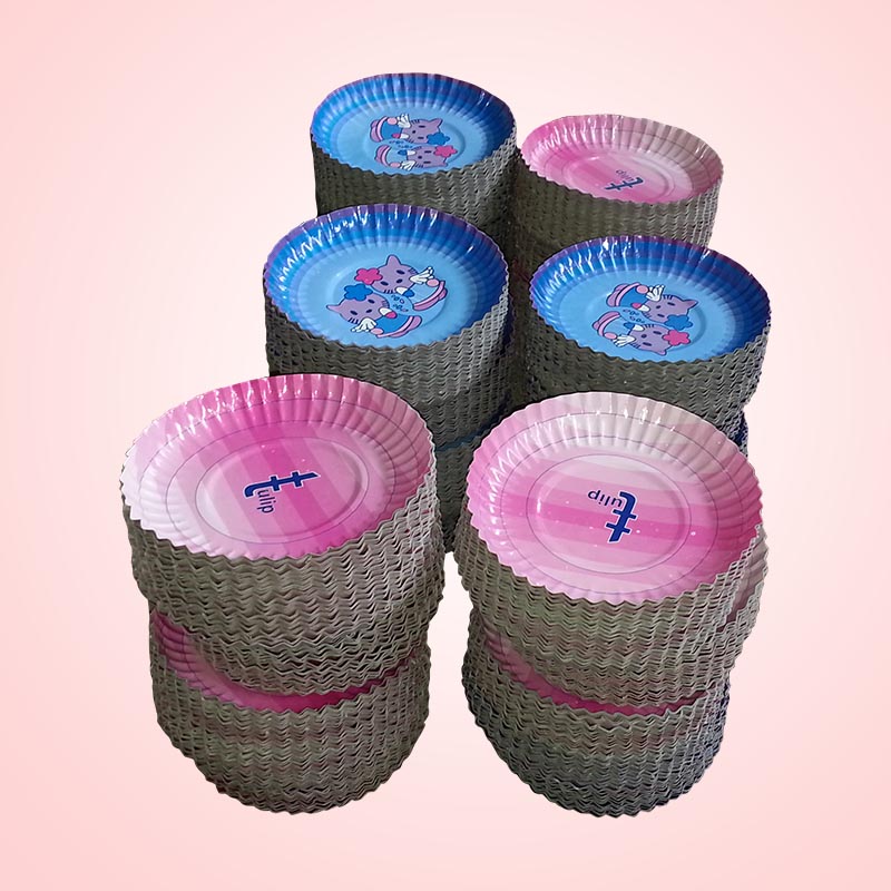 Paper Plates (No.1) 9.75 Inch Round Multi Print Laminate-Pack Of 25