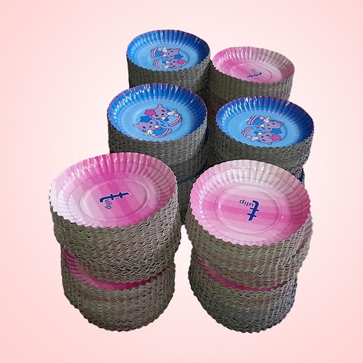 [P6370] Paper Plates (No.1) 9.75 Inch Round Multi Print Laminate-Pack Of 25