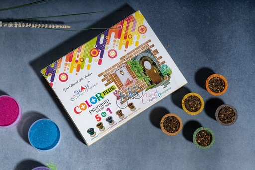 [P5025] Color Plus 5in1 Premium Dhoop Cups-Pack Of 12