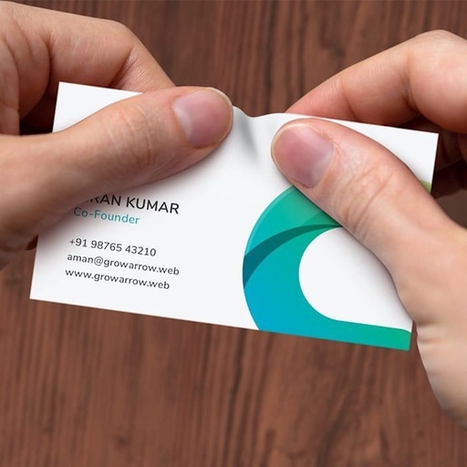 [P6462] NT Single Side Multi Colour Visiting Card Print 1000 Pcs