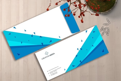 [P6610] Alabaster Paper One 11x5 Cover Print 1000 Pcs