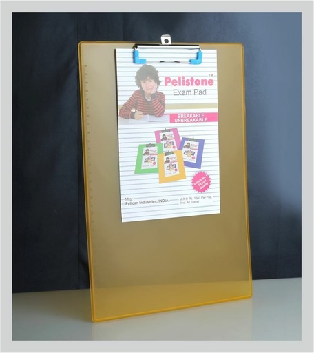 [P3492] Plastic Exam Pad Transparent Colour Big Size