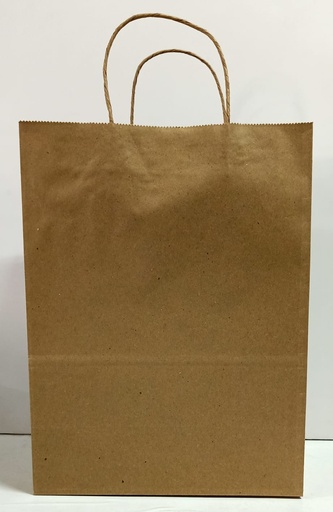 [P4702] Craft Paper Bag Twisted Handle 10x5x13 150 Gsm-Pack of 25