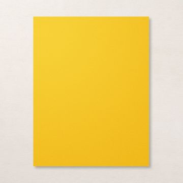 [L1376] (Loose)Westcoast 22x28 17.2 Kg Yellow