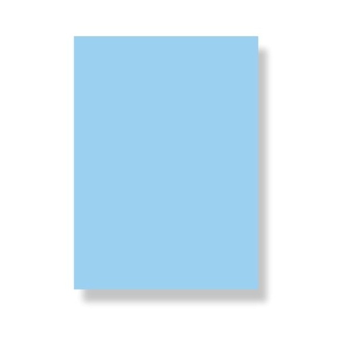 [L1372] (Loose)Westcoast 22x28 14.3 Kg Blue