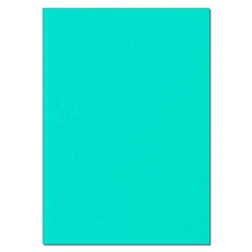 [L1402] (Loose)Westcoast Title 17x27 Green