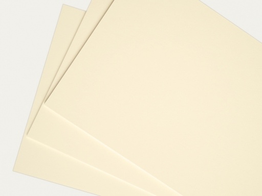 [L1364] (Loose)Westcoast 22x28 11.5 Kg Buff